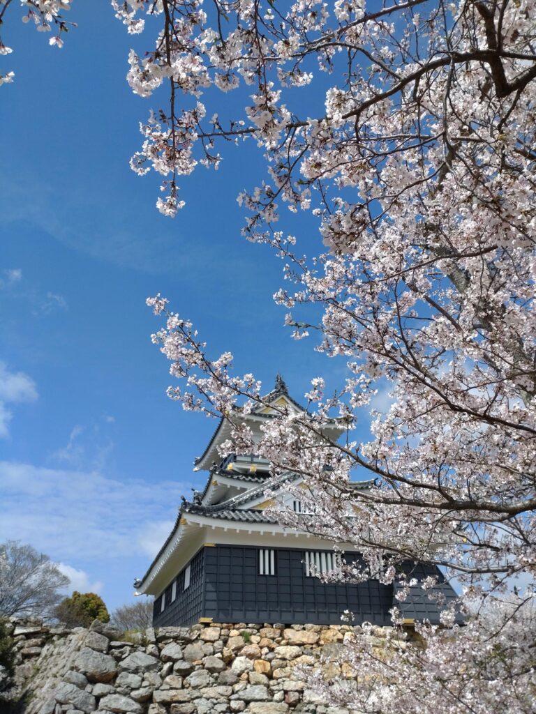 現在の画像に代替テキストがありません。ファイル名: DSC_5773-rotated.jpg